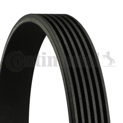 New ribbed belt - new, v-ribbed