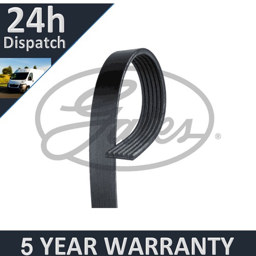 Gates ribbed belts fits - gates,