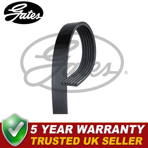 Gates ribbed belts fits - belts,
